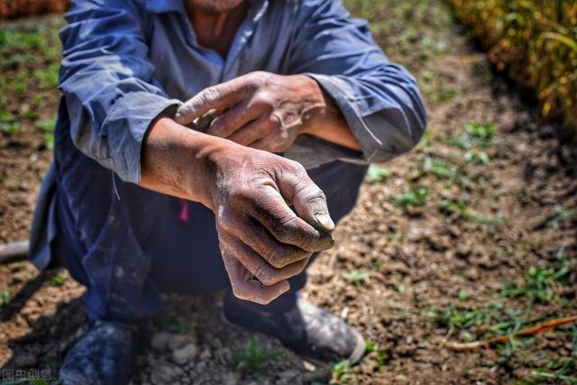 不想打工有什么辦法賺錢呢，不想打工有什么辦法賺錢呢女生？