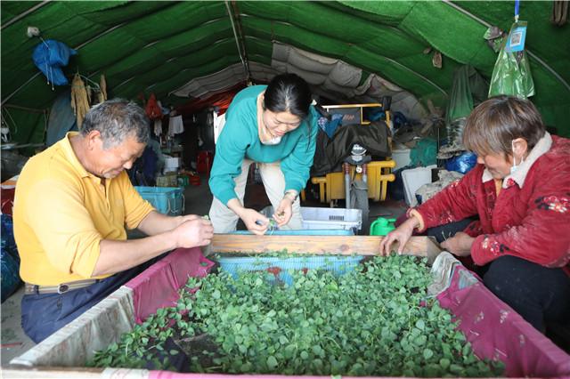 拼多多個(gè)人店鋪取名大全，拼多多個(gè)人店鋪取名大全土特產(chǎn)？