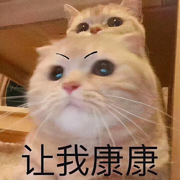 淘寶金牌賣家是什么意思，淘寶金牌賣家是什么意思能看到使用月卡嗎？