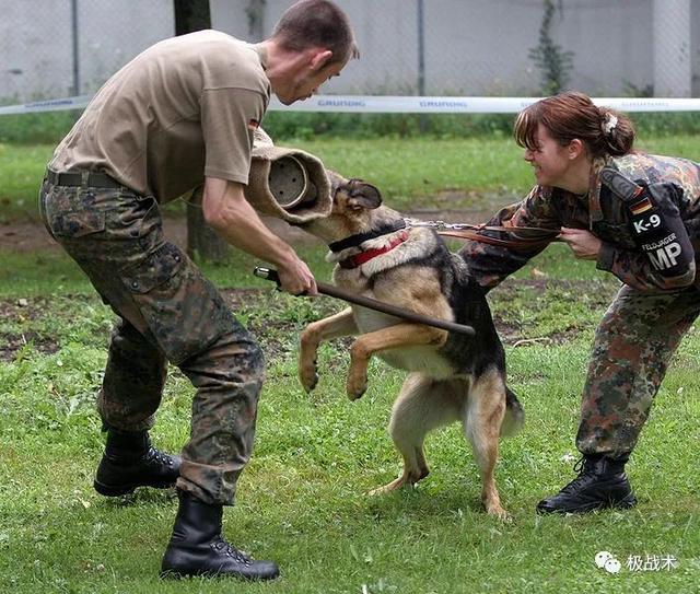 k9都要做什么，k9都要做什么字母圈？