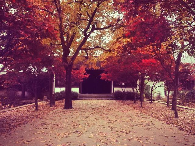 抖音很輕快的口哨音樂(lè)，抖音里面一首純音樂(lè)口哨吹的？