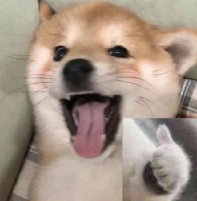 投訴中國(guó)移動(dòng)最快的辦法（中國(guó)移動(dòng)最高投訴熱線）