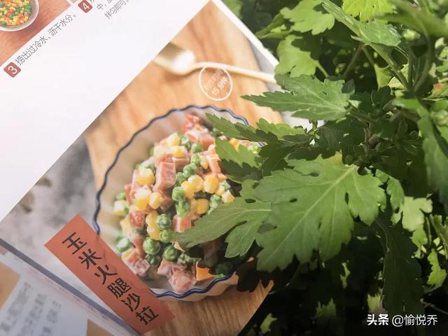 粉絲烤扇貝蒜蓉的做法，空氣炸鍋可以烤扇貝粉絲？