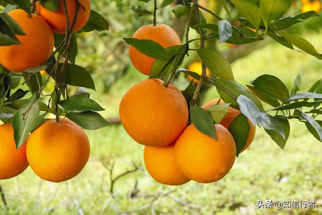 什么是自媒體怎么賺錢，自媒體是怎么賺錢的？