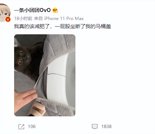 小團(tuán)團(tuán)斗魚直播間，斗魚小團(tuán)團(tuán)和平小店下載？