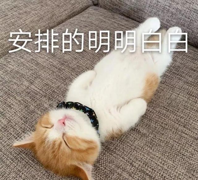 誰能告訴我網(wǎng)絡(luò)直播掙錢嗎，直播為什么這么賺錢？