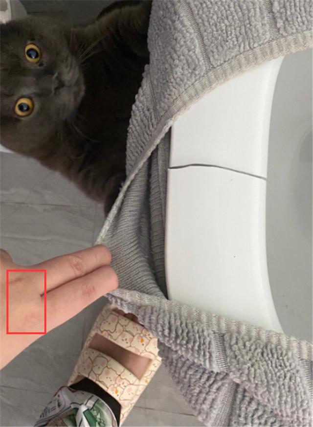 小團(tuán)團(tuán)斗魚直播間，斗魚小團(tuán)團(tuán)和平小店下載？