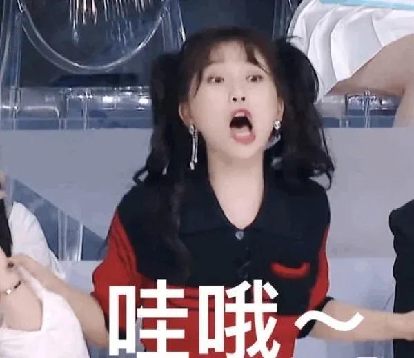 趙露思的粉絲名應(yīng)該叫什么，趙露思現(xiàn)在的粉絲名叫什么？