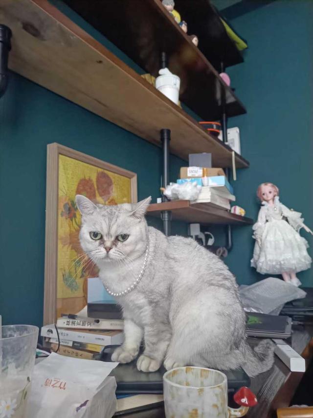 失而復(fù)得的東西怎么發(fā)朋友圈圖片文字，失而復(fù)得的東西怎么發(fā)朋友圈圖片大全？