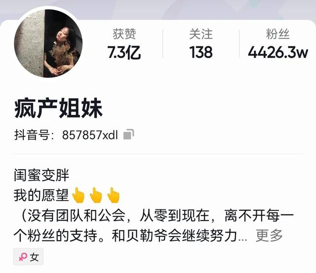 00萬粉絲一個月能賺多少，600萬粉絲一個月能賺多少錢??？"