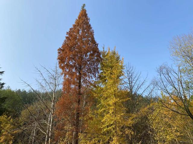 一家四口旅游發(fā)朋友圈，夫妻故地重游發(fā)朋友圈美句？