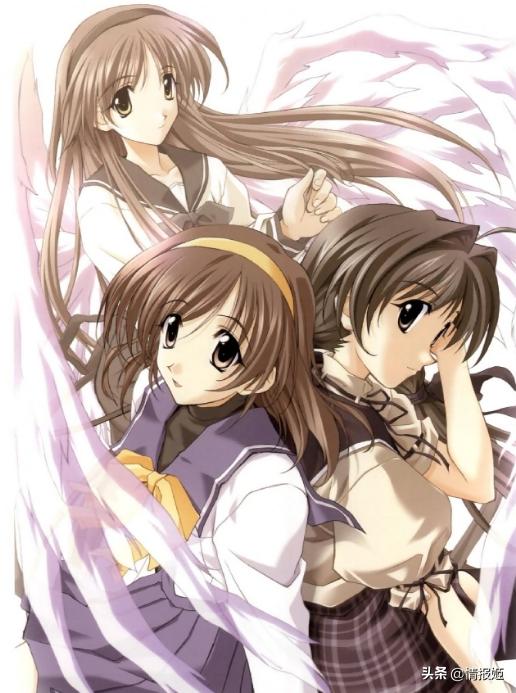 小白兔電商幾個(gè)結(jié)局，小白兔電商幾個(gè)結(jié)局小青？