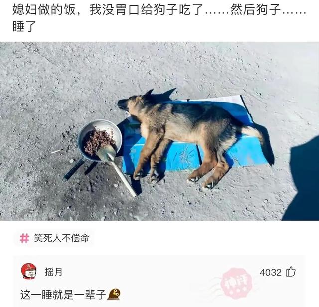 網(wǎng)絡(luò)用語盤絲洞什么意思（網(wǎng)絡(luò)用語盤絲洞什么梗）