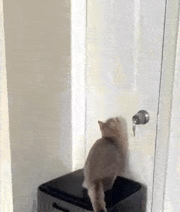 抖音哪個版本好用一點，抖音哪個版本好用一點兒？