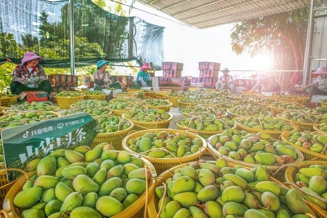 興趣電商是什么意思呀，興趣電商概念？