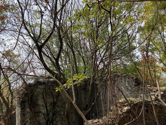 一家四口旅游發(fā)朋友圈，夫妻故地重游發(fā)朋友圈美句？