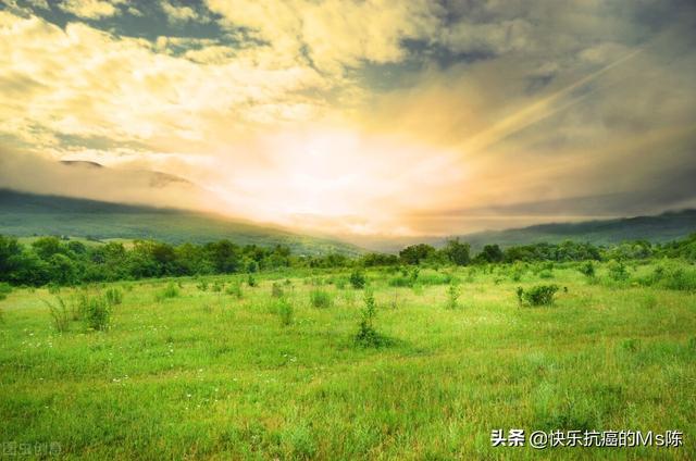 身體不舒服的句子發(fā)朋友圈圖片，身體不舒服的句子發(fā)朋友圈圖片大全？