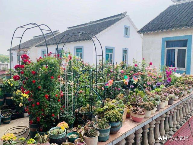 田園小院賺錢是真的嗎還是假的，農(nóng)家小院賺錢是真的嗎？