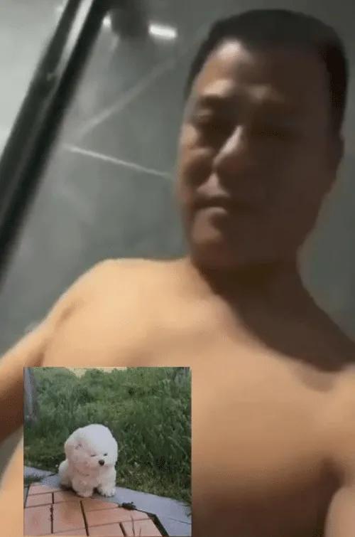 小楊哥最近視頻，為什么小楊哥的舊視頻沒有了？