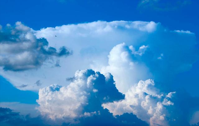 網(wǎng)盤群文件顯示網(wǎng)絡(luò)連接失敗，網(wǎng)盤群里的文件不保存分享給別人？