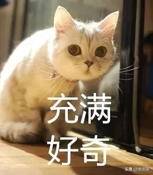 香港直播app都有什么，香港tvb直播app下載？