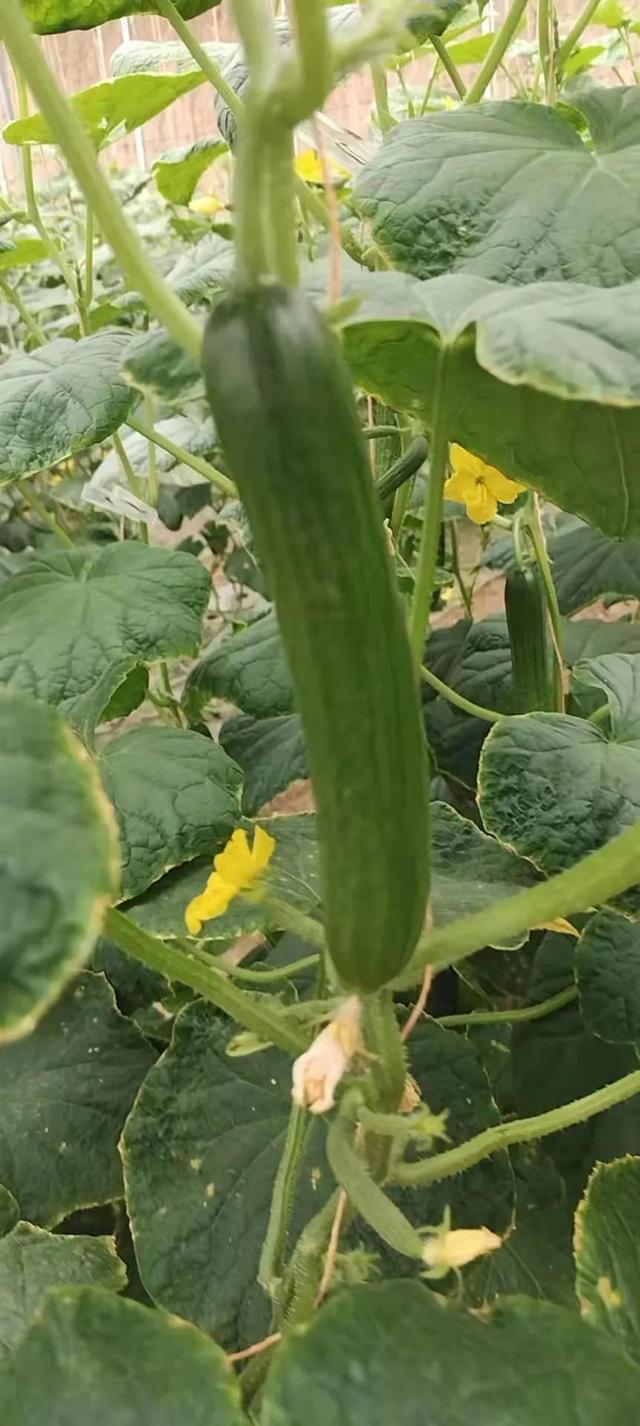 疫情期間做什么生意比較好賺錢大齡下崗人的，現(xiàn)在疫情期間做什么生意好？