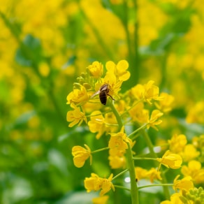 適合發(fā)朋友圈干飯的句子，適合發(fā)朋友圈干飯的句子搞笑？