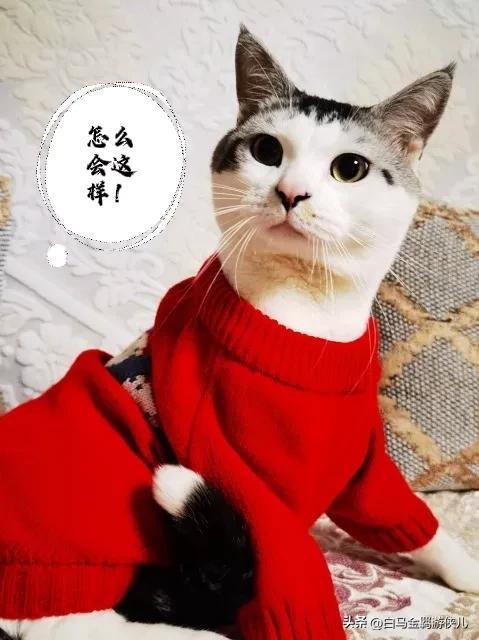 淘寶沒有換貨選項是怎么回事，淘寶換貨怎么寄回去？