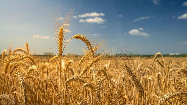 沒錢沒工作走投無路了怎么辦可以去找警察嗎，沒錢沒工作走投無路了怎么辦怎么尋求幫助？