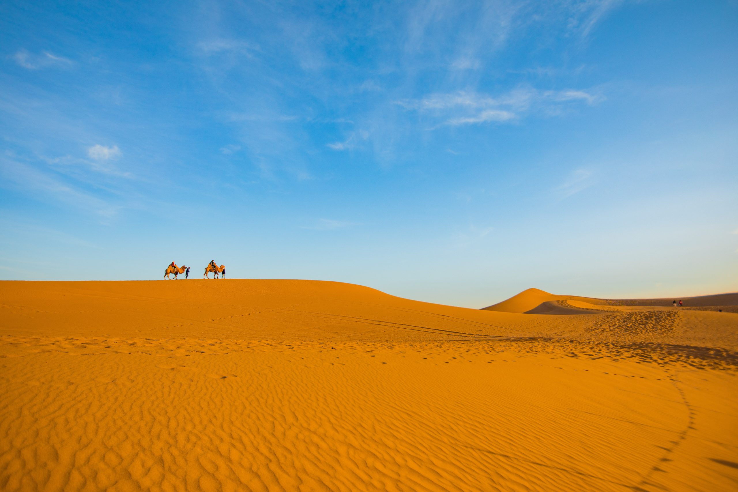 適合練車(chē)發(fā)朋友圈的句子，適合練車(chē)發(fā)朋友圈的句子簡(jiǎn)短？