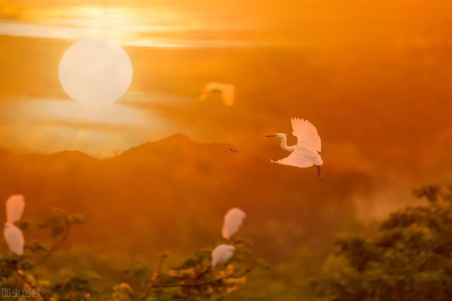 閱讀掙錢最快的app，閱讀掙錢最快的app一元提現(xiàn)？