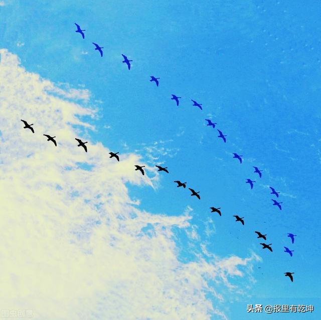 端午節(jié)公眾號(hào)標(biāo)題怎么取，端午節(jié)的公眾號(hào)標(biāo)題？