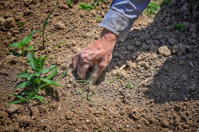 不想打工有什么辦法賺錢呢，不想打工有什么辦法賺錢呢女生？