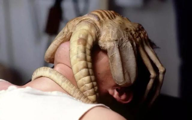 西部世界第一季百度網(wǎng)盤分享，西部世界_第一季_百度云？