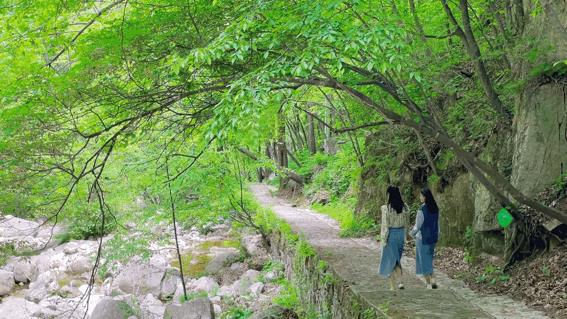 抖音熱氣球多少錢一個人民幣，抖音熱氣球多少錢一個人民幣呢？