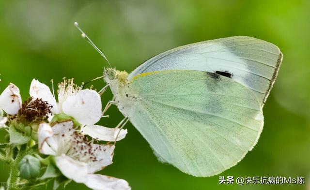 身體不舒服的句子發(fā)朋友圈圖片，身體不舒服的句子發(fā)朋友圈圖片大全？