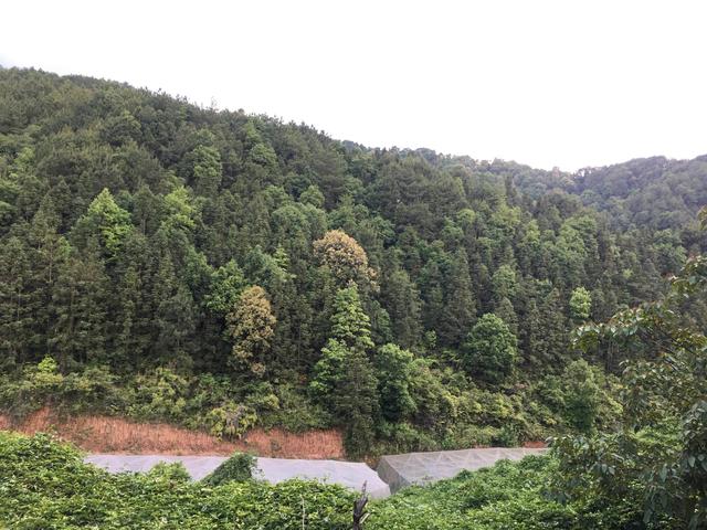 如何讓客戶喜歡你的產(chǎn)品走進(jìn)創(chuàng)業(yè)階段，如何讓客戶喜歡你的產(chǎn)品走進(jìn)創(chuàng)業(yè)園？