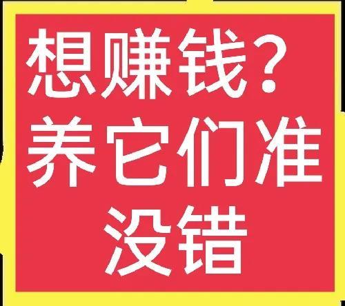 農村適合養(yǎng)殖什么項目賺錢，農村適合養(yǎng)殖什么項目賺錢多？