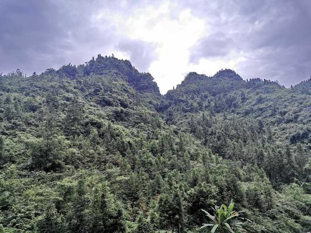 失而復(fù)得的東西怎么發(fā)朋友圈圖片文字，失而復(fù)得的東西怎么發(fā)朋友圈圖片大全？