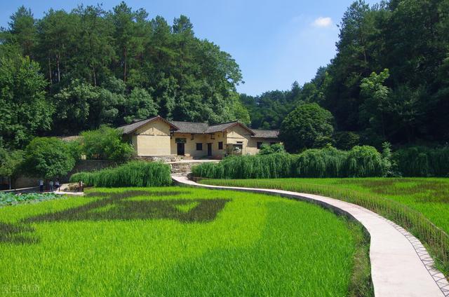 抖音漂流瓶在哪里，抖音漂流瓶在哪里打開？