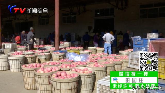 蘋果賺錢軟件，蘋果賺錢軟件真實可靠？