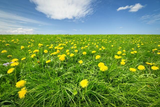 司馬南最新直播，人民日報(bào)評(píng)司馬南？