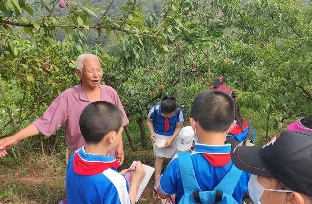 桃子直播視頻免費觀看在線，桃子直播視頻免費觀看在線播放？