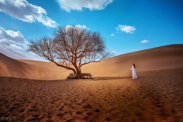 閱讀掙錢最快的app，閱讀掙錢最快的app一元提現(xiàn)？