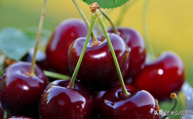 百度果園APP，百度果園app下載官網(wǎng)？