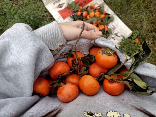 不想打工有什么辦法賺錢呢，不想打工有什么辦法賺錢呢女生？