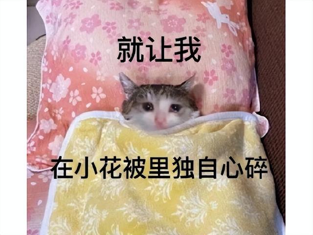 虎牙hsl爐石傳說，爐石xg直播間？