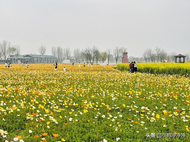 979閑魚人生_小說86，1979閑魚人生_小說下載？"