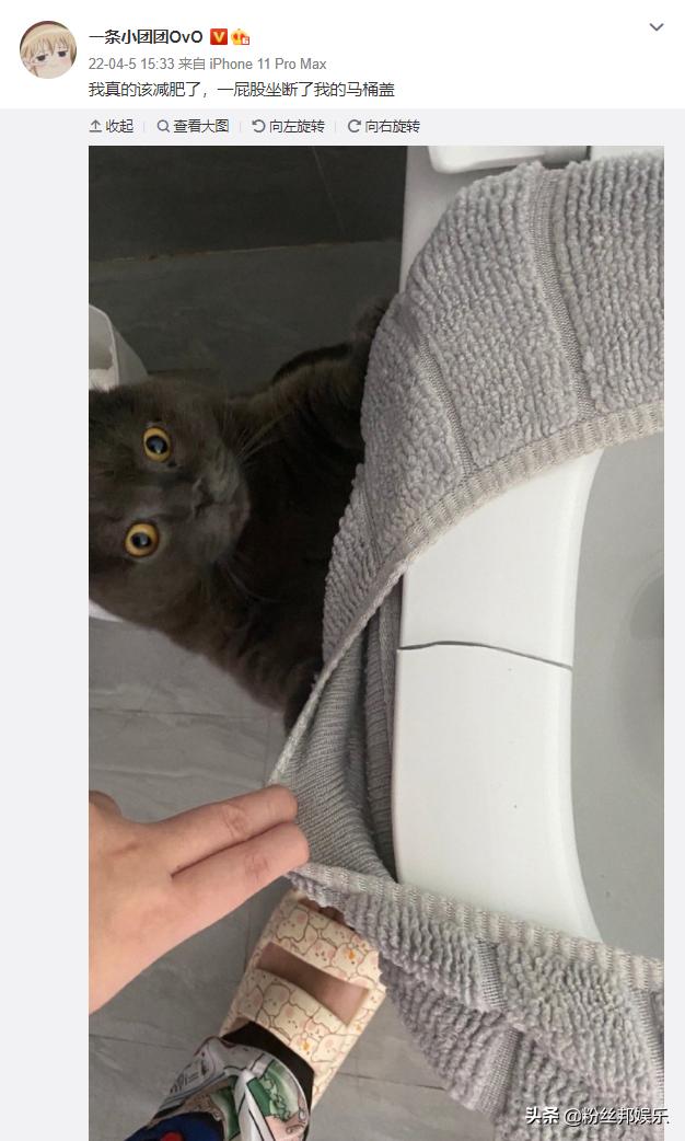 小團(tuán)團(tuán)直播間，和平精英小店下載安裝？