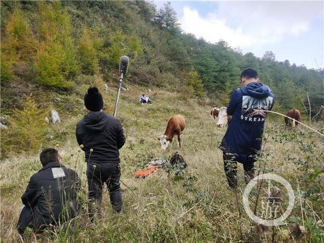 抖音播放量怎么提升最有效方法，抖音播放量怎么提升最有效方法視頻？